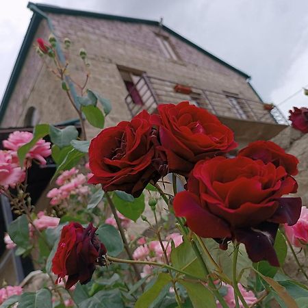 Bears And Berries Hotel Berd Exterior photo